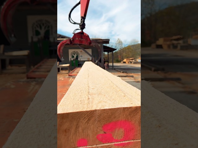 Why did we agree to mill this??!