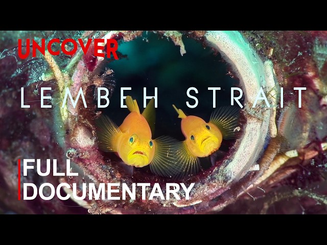 LEMBEH STRAIT | The Hidden World in the Black Sand | FULL DOCUMENTARY