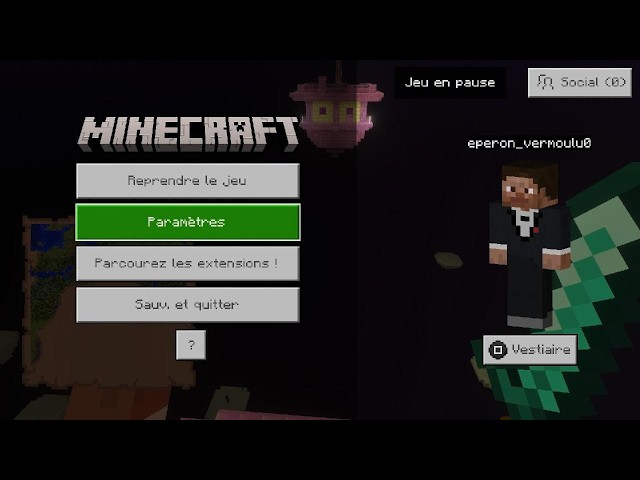 Minecraft dernière partie dans le Nether
