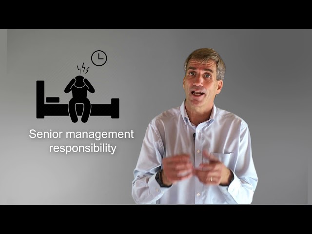 Senior Management Responsibility