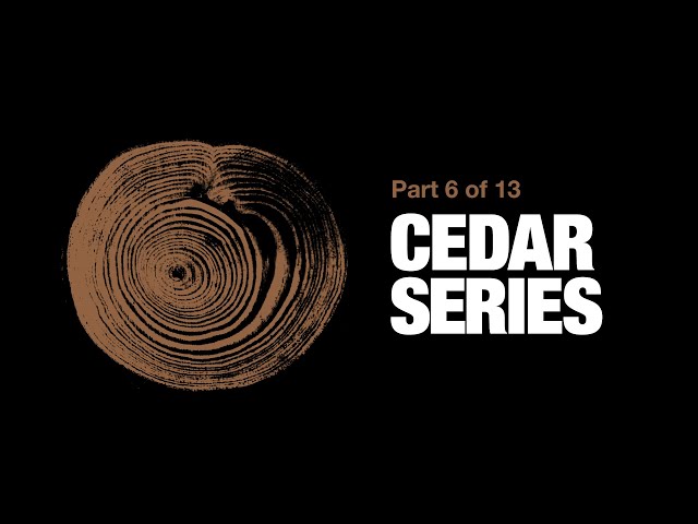 How To Treat and Stain Western Red Cedar