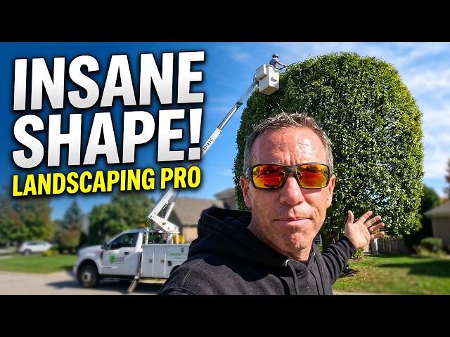 Trimming Hedges and Shaping Trees