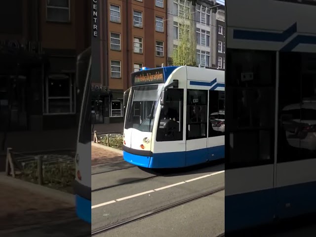 Amsterdam Tram Line