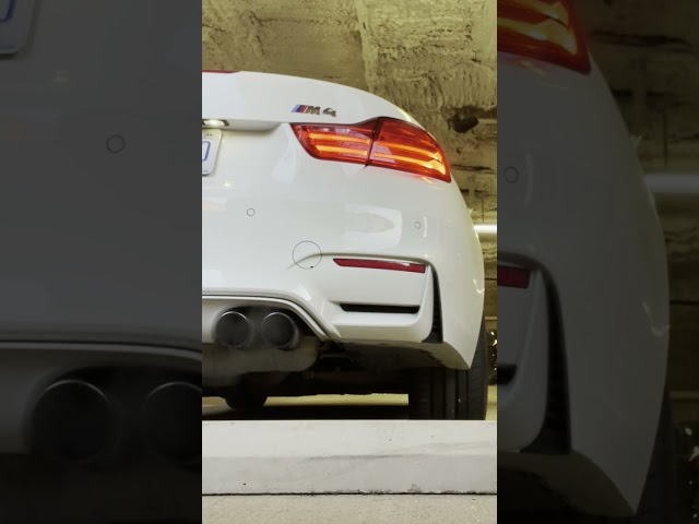 BMW M4 Cold Start & Idle for 1 Minute (F80 F83 Convertible) #BMW #M4 #BmwM4 #Cars #Exhaust  #autos