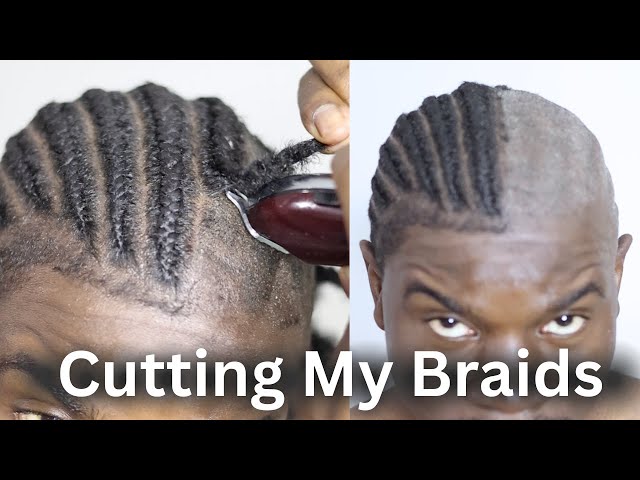 Cutting My Braids ASMR