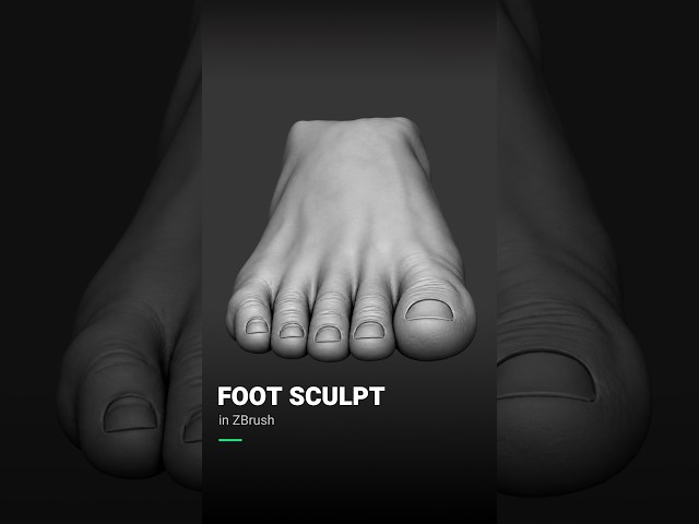 How to Sculpt Feet in ZBrush | Foot Anatomy Tips