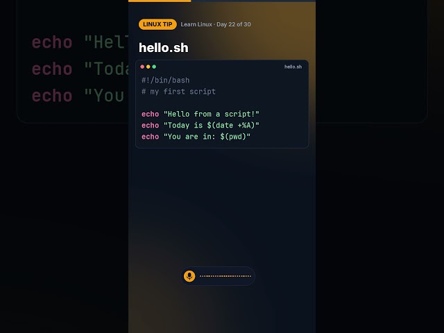 Linux tip: Your first Bash script #shorts