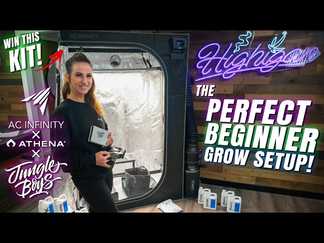 Perfect 2x4 AI Controlled Complete Grow Tent Kit! Perfect for Beginners!