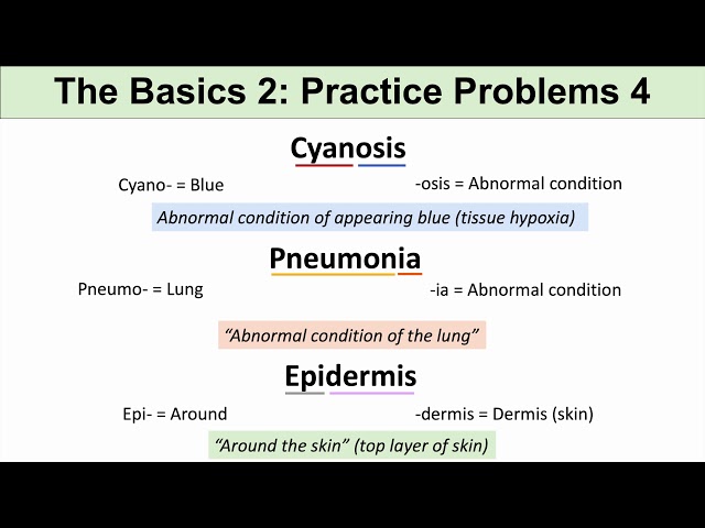 Medical Terminology – The Basics – Lesson 1 | Practice Problems Set 2