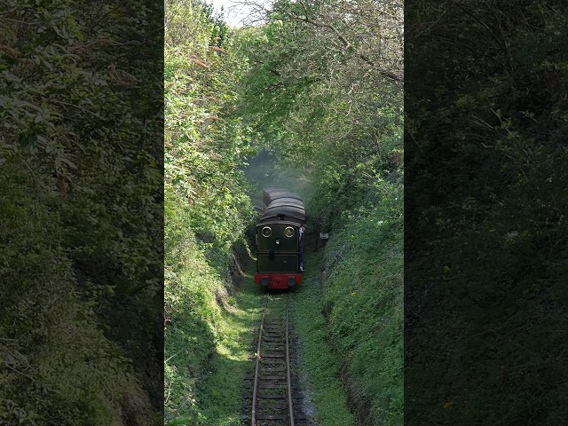 Steam Train on the Talyllyn Railway 🚂 #steam #railway #train