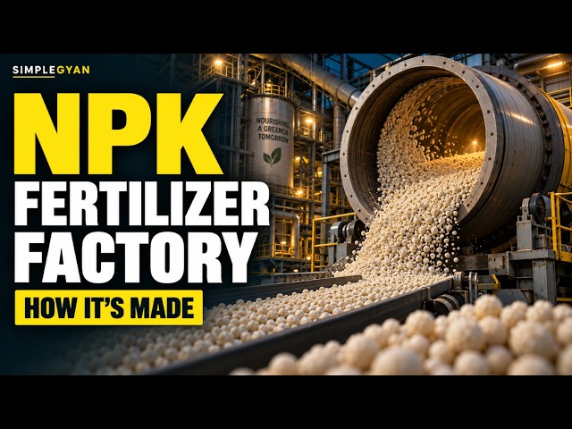 Inside an NPK Fertilizer Factory | How Complex Fertilizer Is Made