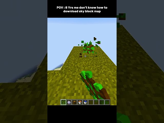 POV : 8 Yrs old me don't know how to download sky block map  |  #minecraft