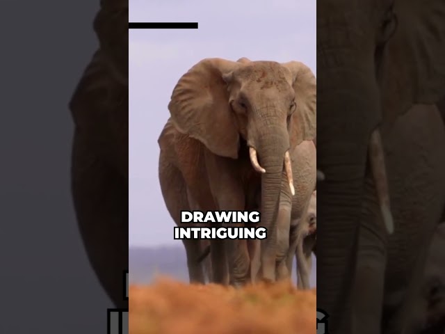 Elephants' Eating Habits: You WON'T Believe What They Prefer! | #shorts