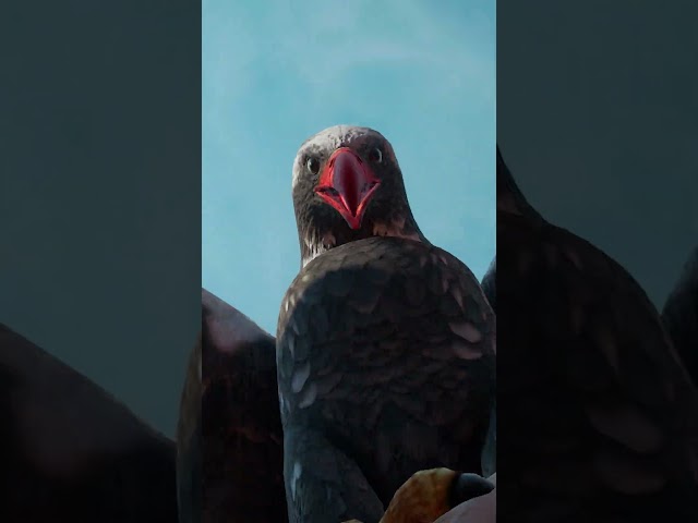 Eagle Attack Far Cry New Dawn 4K 60FPS - Full Video on This Channel #moose  #animalattack  #farcry