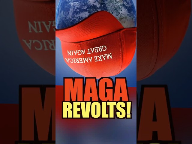 Chip Franklin Does It Again As MAGA REVOLTS!