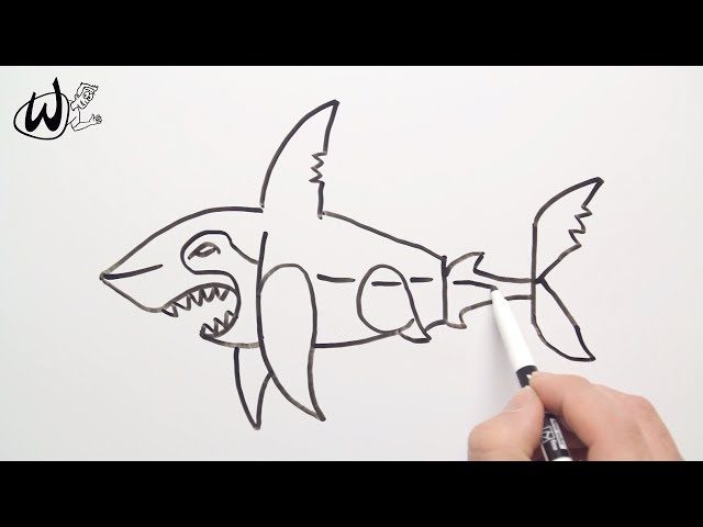 How to Draw a Shark - Drawing Doodle Words to Cartoon