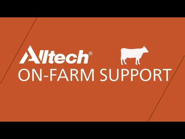 Alltech's Dairy On-Farm Support Program