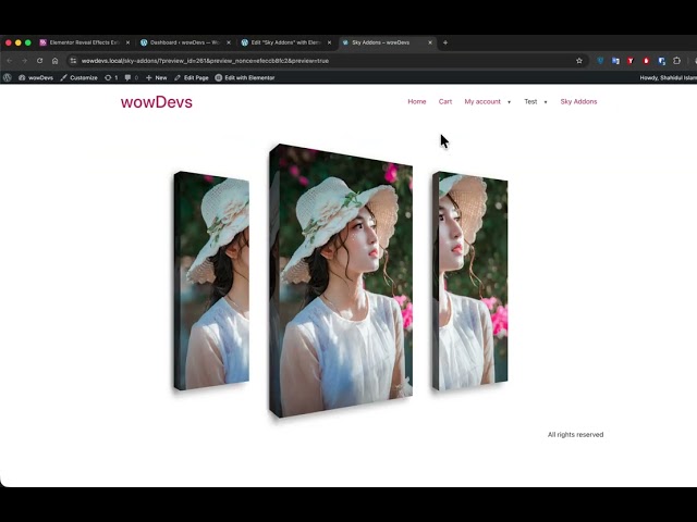Reveal Effects for Elementor | Stunning Animation & Scroll Effects | Sky Addons