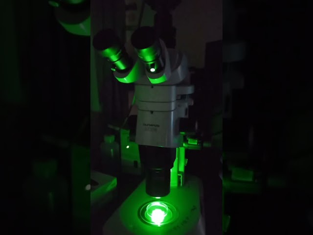 Just PhD things..