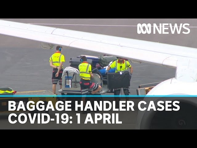 Coronavirus: Australia's death toll climbs, new cases linked to airport baggage handlers | ABC News