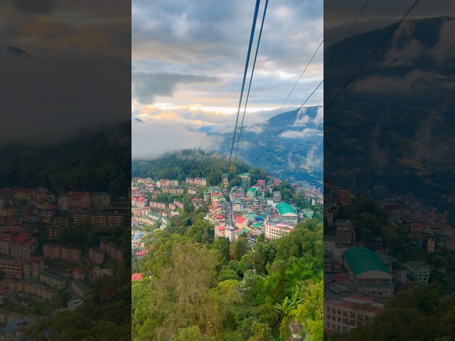Munnar to Manali 🚗 🛫| unforgettable experience #travel #roadtrip #munnar #manali #youtubeshorts