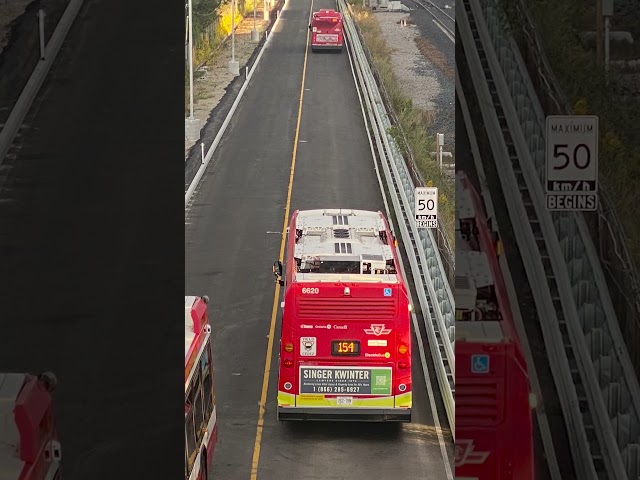 A look at Scarborough’s new busway