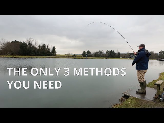 Best Fly-Fishing Tactics for Trout [Stillwater Trout Fishing UK]