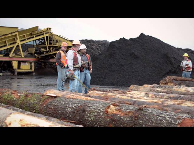 Find Your Path: Procurement Forester
