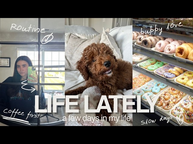 a few days in my life 🌞 simple routines | good food | puppy love 🤍