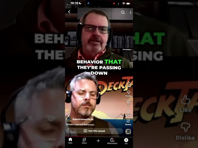 Lund in the Media: Decktales!
