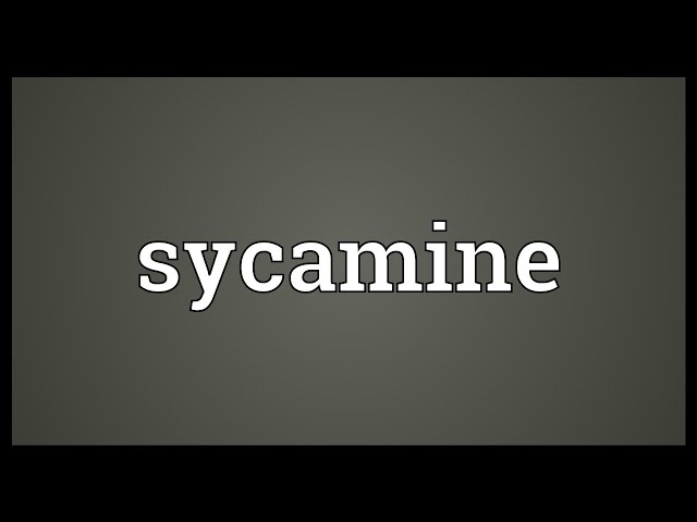 Sycamine Meaning