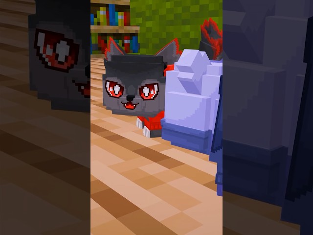 We Turned the Boys Into Cats!