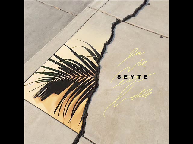 Seyté - Les oiseaux s'envolent