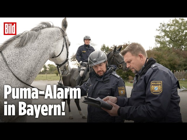 LANDKREIS ERDING: Jetzt sucht die Reiterstaffel nach dem Puma!