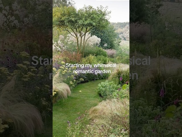 Starting a garden from scratch !