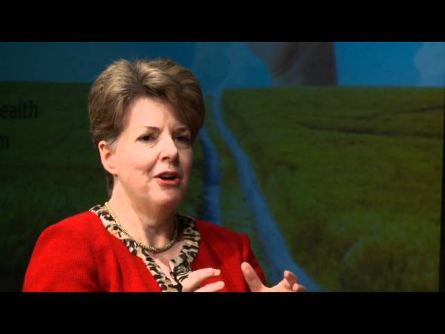 Alltech's Game Changers -- Business Experts Comment - Shelman