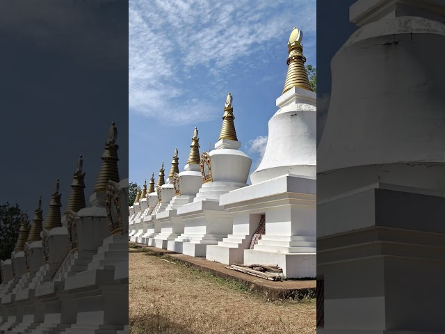 Dhondenling 🪷 | A Hidden Tibetan World in Karnataka 🧘🇮🇳