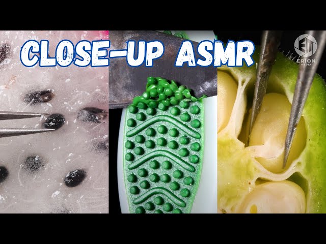 CLOSE-UP THINGS | Macro Objects with Erion 🔎 Best Satisfying Videos
