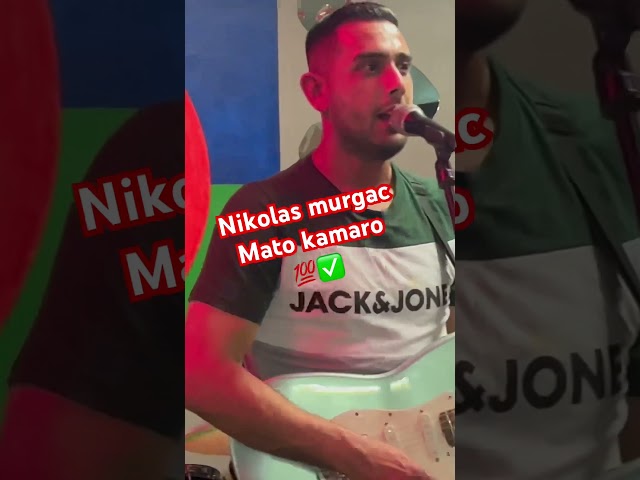 💯Nikolas murgač-Mato Kamaro💯 #follow #music #foryou #live #gipsy #hudba #zabava