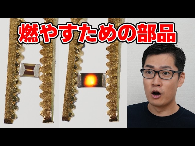 What are these electronic components designed to burn? [Actually, they're pretty important: Visha...