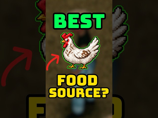 Why You Should NEVER Ignore Chickens in Project Zomboid