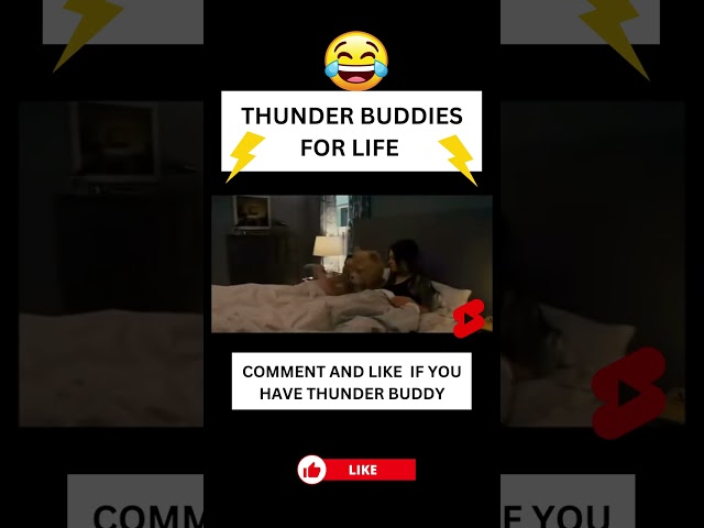 Thunder buddies for life: #ted #funnyfilmstv #shorts