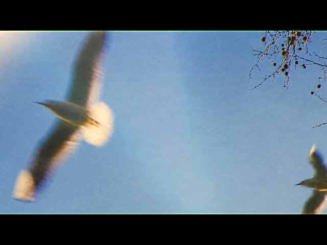 Southbound - Chasing