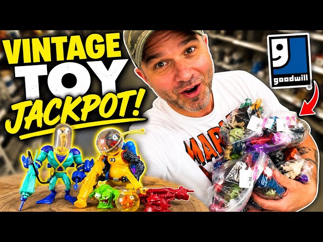 Goodwill Was LOADED With Vintage Toys!