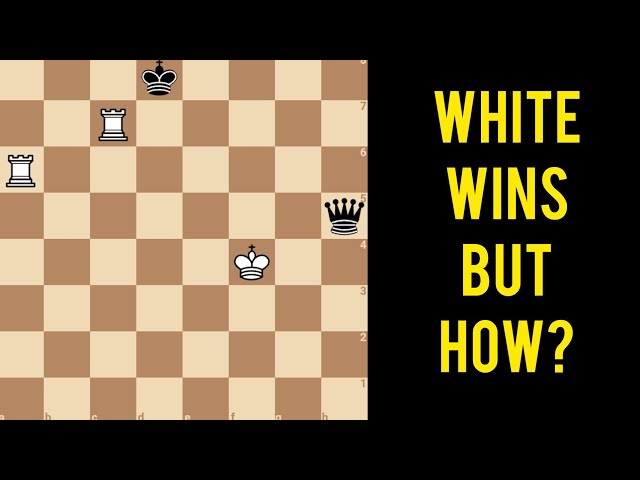 Find Winning Plan For White.