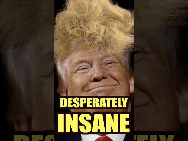 Chip Franklin Does It AGAIN To Trump And It’s Amazing