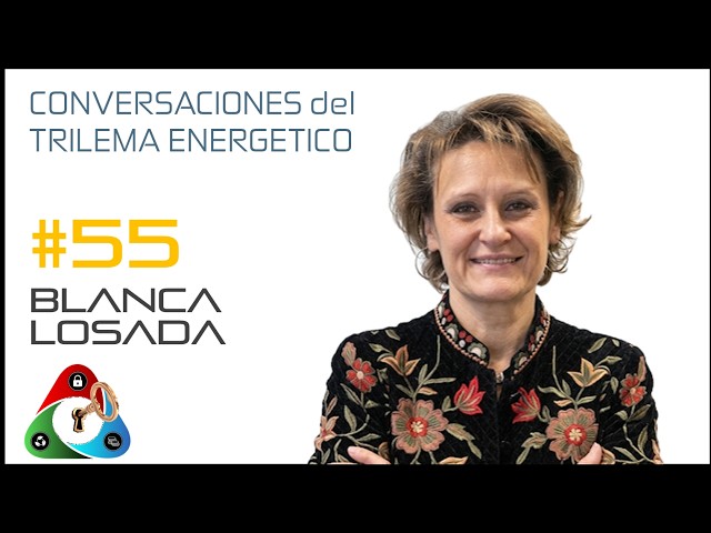 *055 - Autoconsumo Industrial y Energía