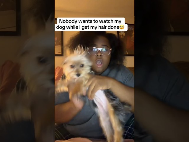 HE NEED THE DOG WHISPER? ALIEN REACTS! BLOOOB #funnydogs #funnyanimals #funnyreaction #comedy