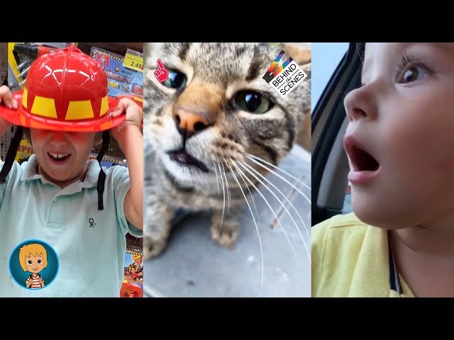 15 Second Story of Gerti - My Cat Macki