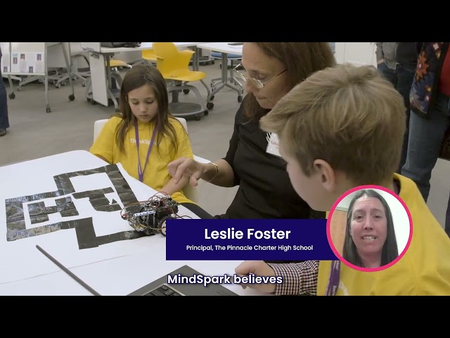 Who We Are: The MindSpark Mission